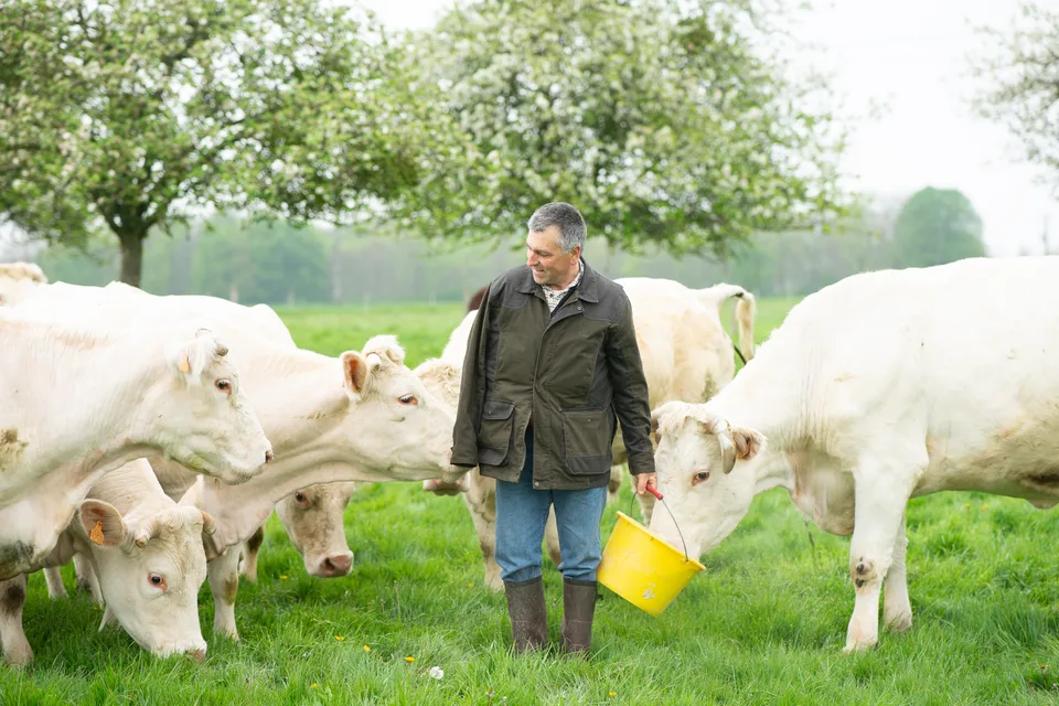 Photographie Corporate - 20250425 DSC02660